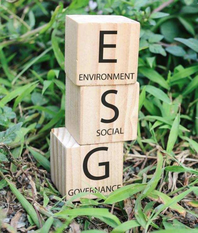 ESG strategy business roadmap corporate sustainability goals