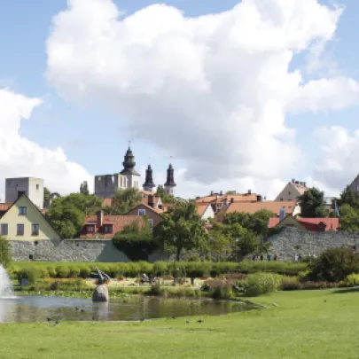 Almedalen-2025-307x290